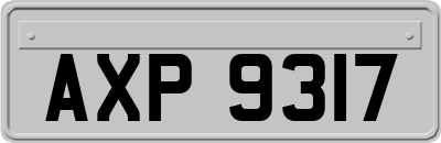 AXP9317
