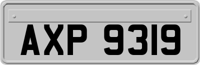 AXP9319