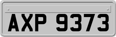 AXP9373