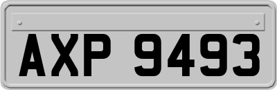 AXP9493