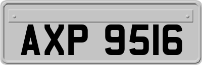 AXP9516