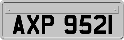 AXP9521