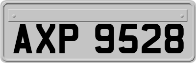AXP9528