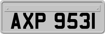 AXP9531