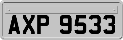 AXP9533