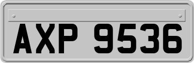 AXP9536