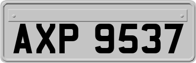 AXP9537
