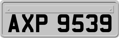 AXP9539