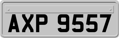 AXP9557