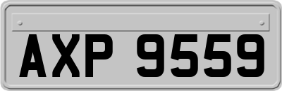 AXP9559