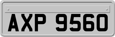 AXP9560