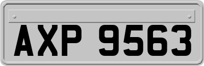 AXP9563