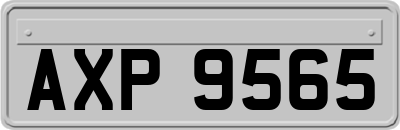 AXP9565