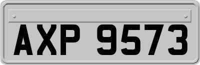 AXP9573