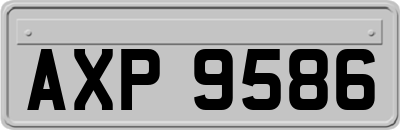 AXP9586