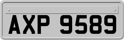 AXP9589