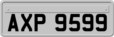 AXP9599