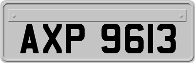 AXP9613