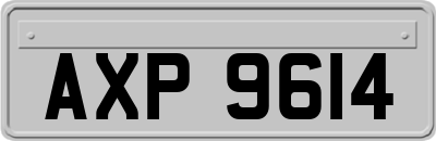 AXP9614