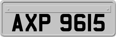 AXP9615
