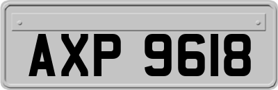 AXP9618