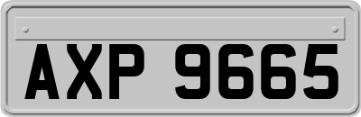 AXP9665