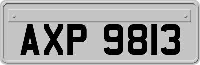 AXP9813
