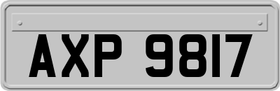 AXP9817