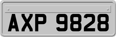 AXP9828