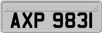 AXP9831