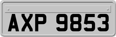 AXP9853