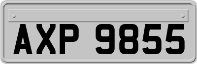 AXP9855