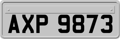 AXP9873