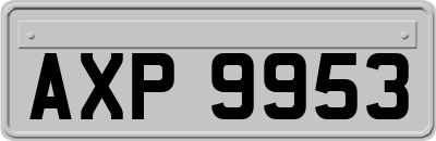 AXP9953
