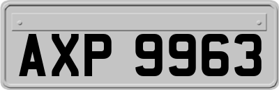 AXP9963