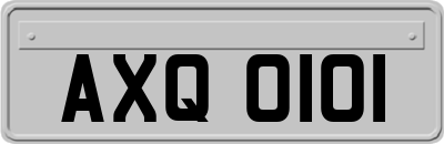 AXQ0101