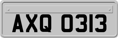 AXQ0313