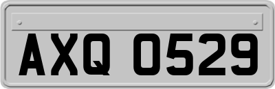 AXQ0529