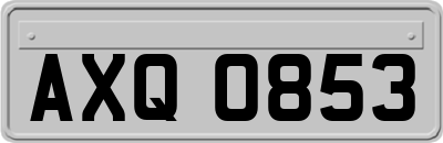 AXQ0853