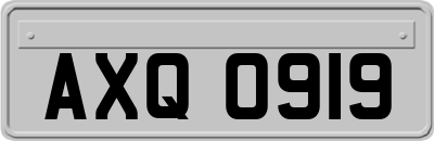 AXQ0919