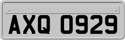 AXQ0929
