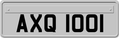 AXQ1001