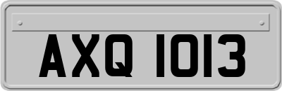 AXQ1013