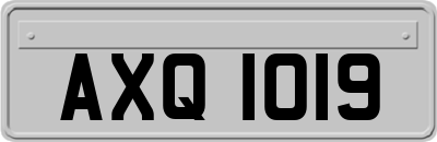 AXQ1019