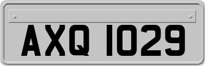 AXQ1029