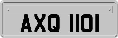 AXQ1101