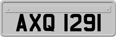 AXQ1291