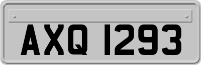 AXQ1293
