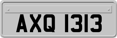 AXQ1313