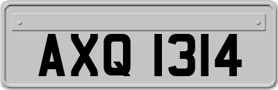 AXQ1314